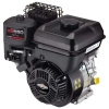 Briggs Stratton XR550 Serisi 4Hp 127cc Benzinli Motor